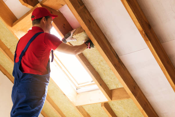 Best Insulation Air Sealing  in Bel Air North, MD